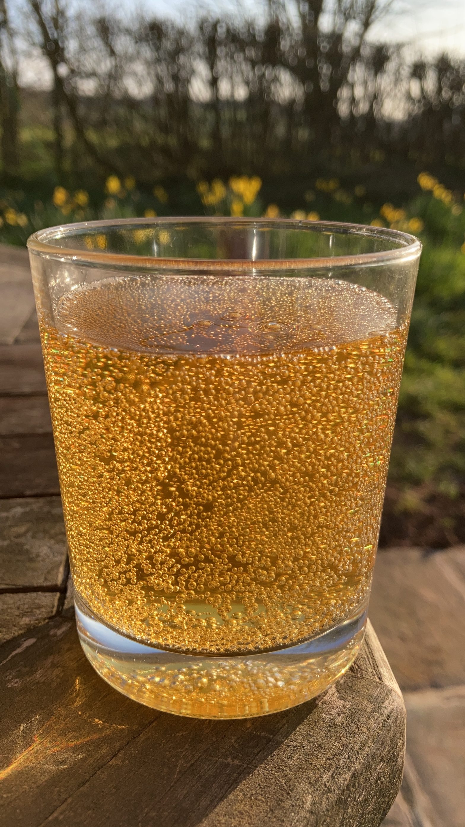 Glass of sparkling Tom Putt cider