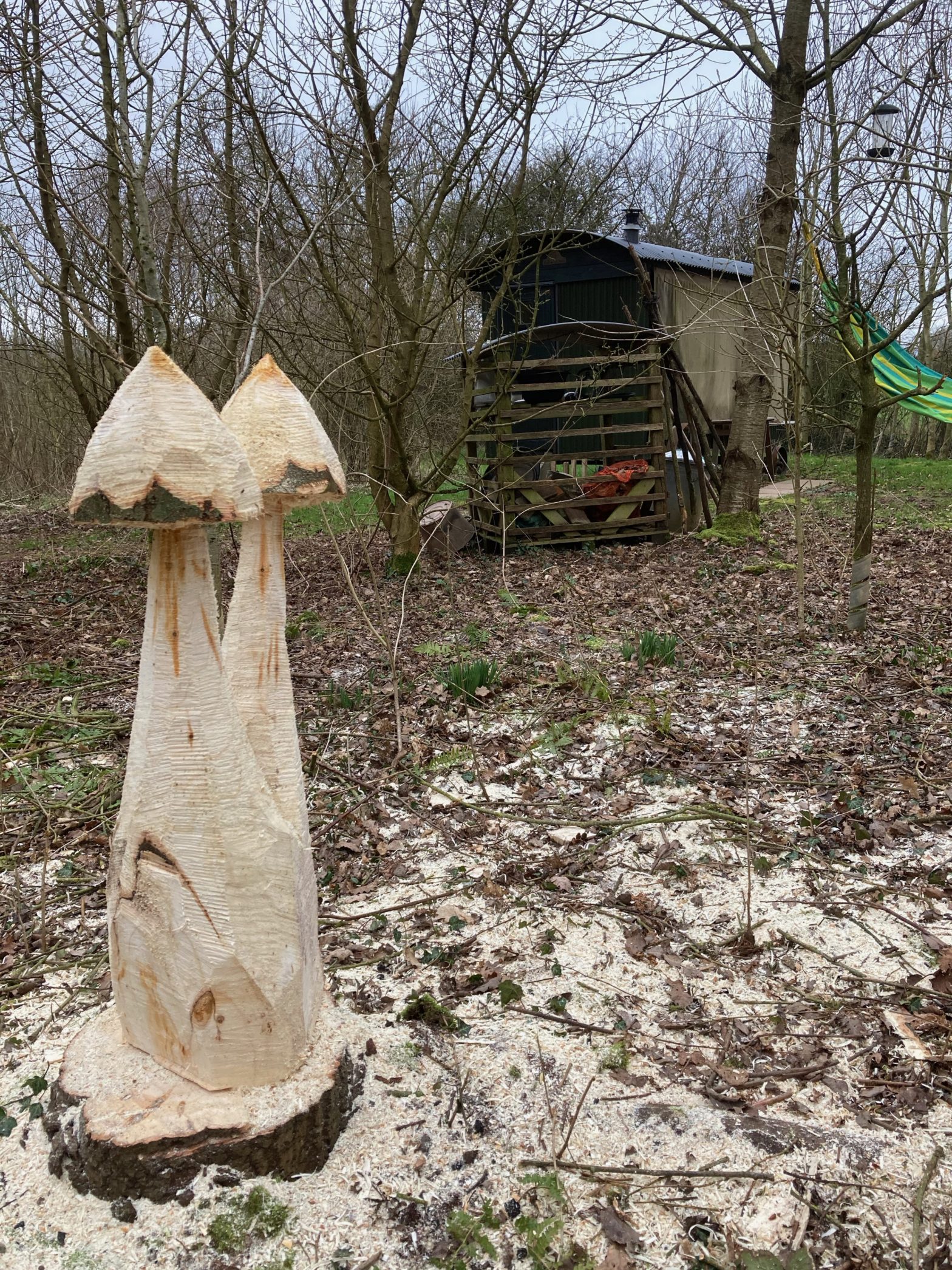 Chainsaw sculpture of toadstools